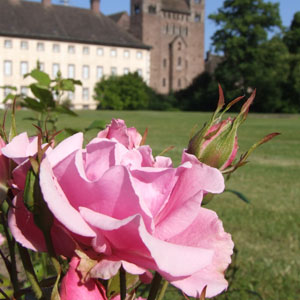 Foto von Schloss Corvey | 2010