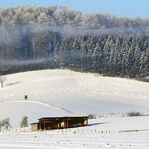 Foto von Herste